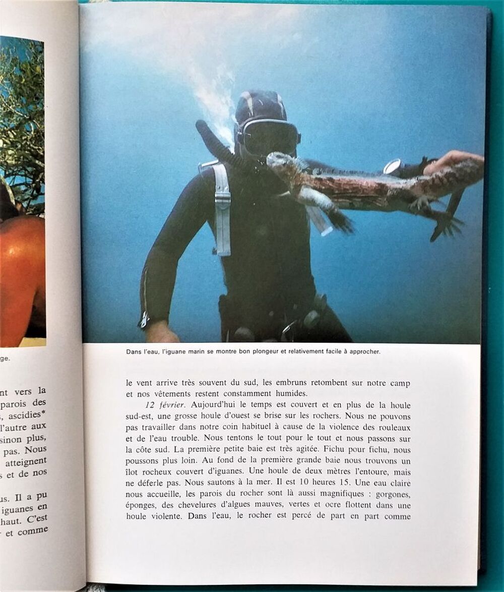 J.-Yves COUSTEAU et Ph. DIOLE Trois aventures de la CALYPSO Galapagos - Titicaca - Trous bleus. Livres et BD