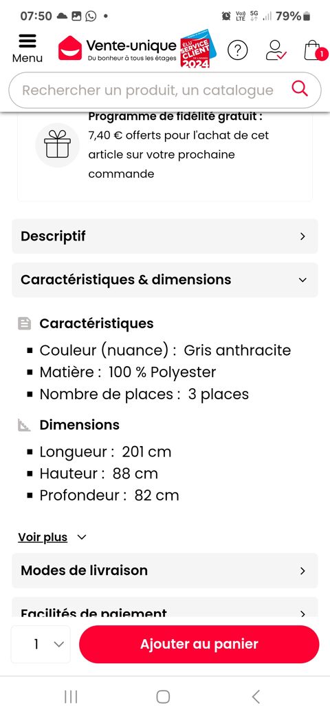 Canape 3 places et 2 places 500 Saint-Dizier (52)