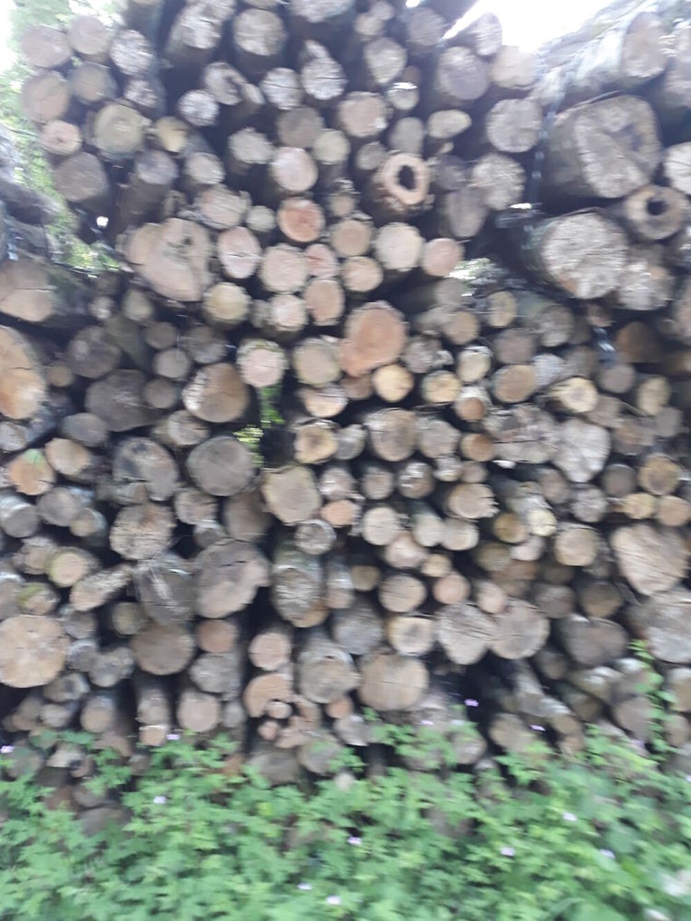 bois de chauffage bien sec Bricolage