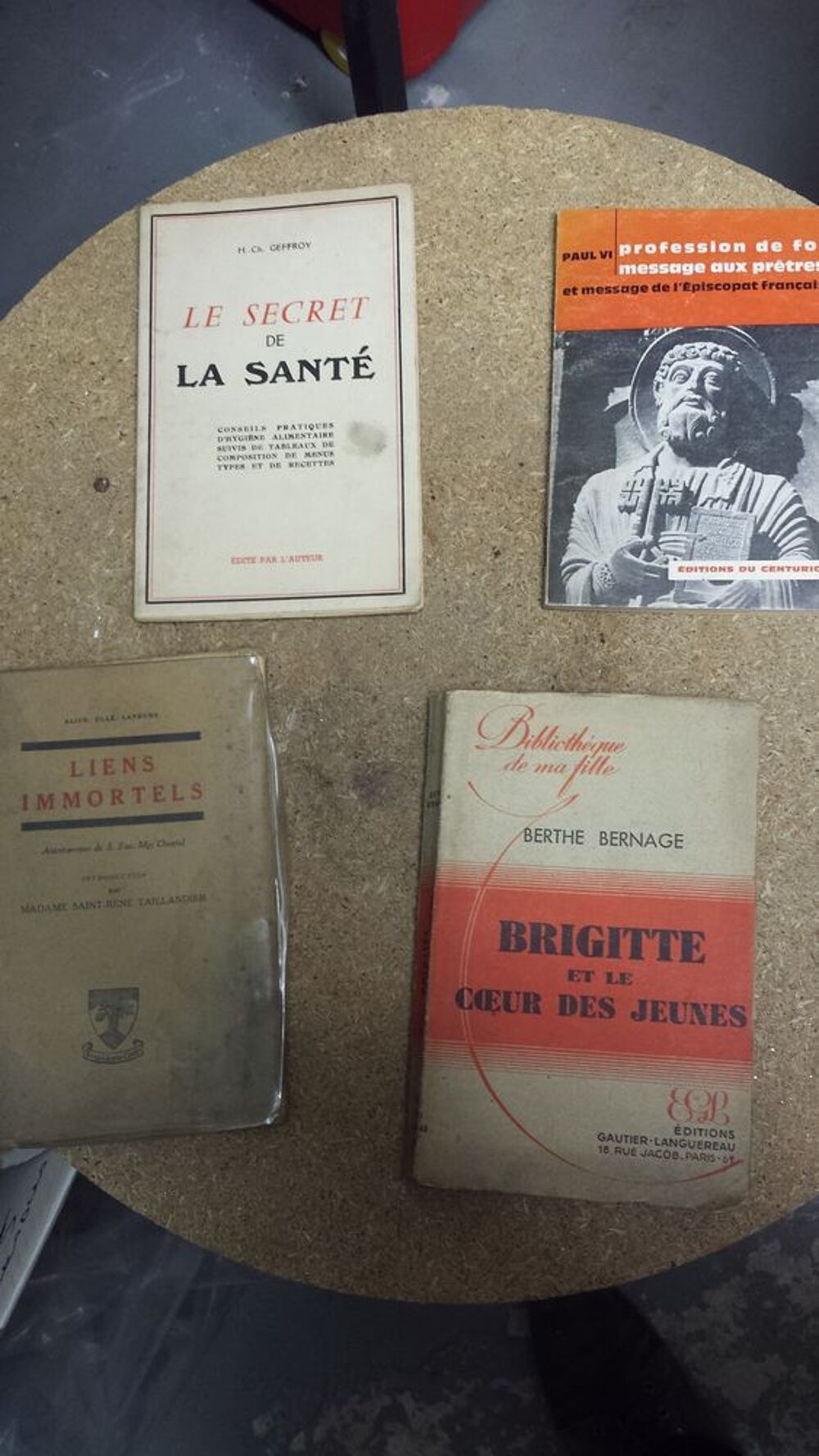 Brigitte et le coeur des jeunes 