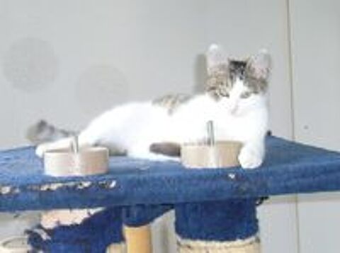   Petit mimi de 2 mois et demi adorable  