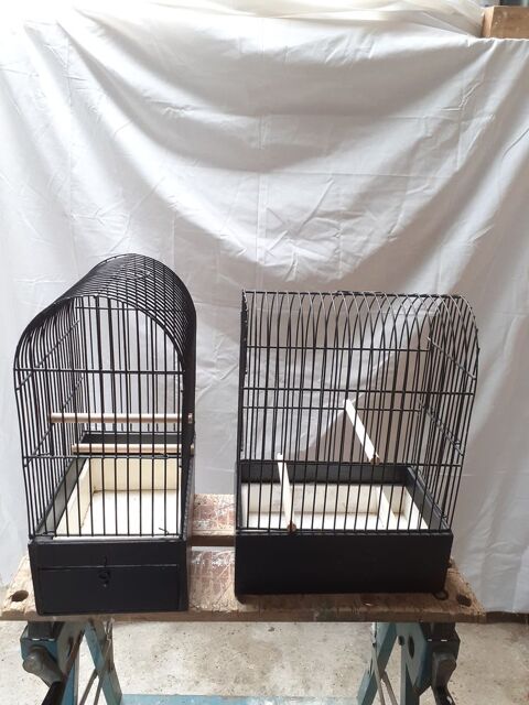 Cages d'exposition ?grand Tunnel' pour canaris de posture 12 62530 Hersin-coupigny