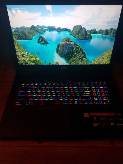  Pc Gamer MSI GE73 GTX 1070
1200 Mâcon (71)