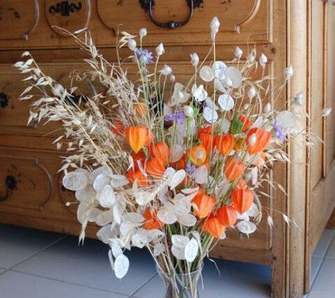 Monnaie du pape   graines 1 Sainte-Genevi�ve-des-Bois (91)