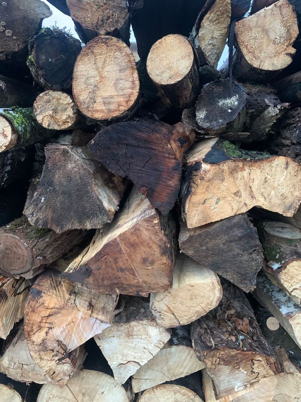 Bois de chauffage Jardin