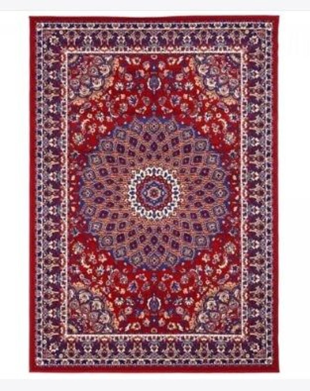 Tr&eacute;s grand tapis style oriental rouge Décoration