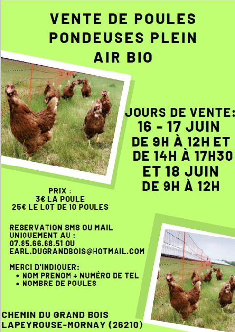 Vente de poules pondeuses en plein air bio 3 26210 Lapeyrouse-mornay