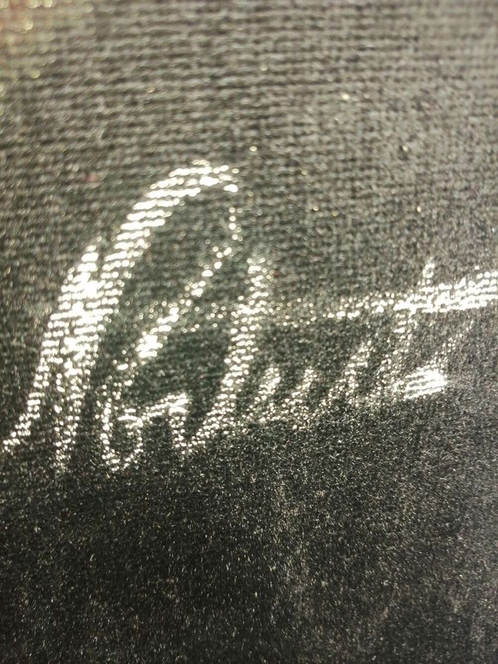 tableau peinture sur velours Décoration