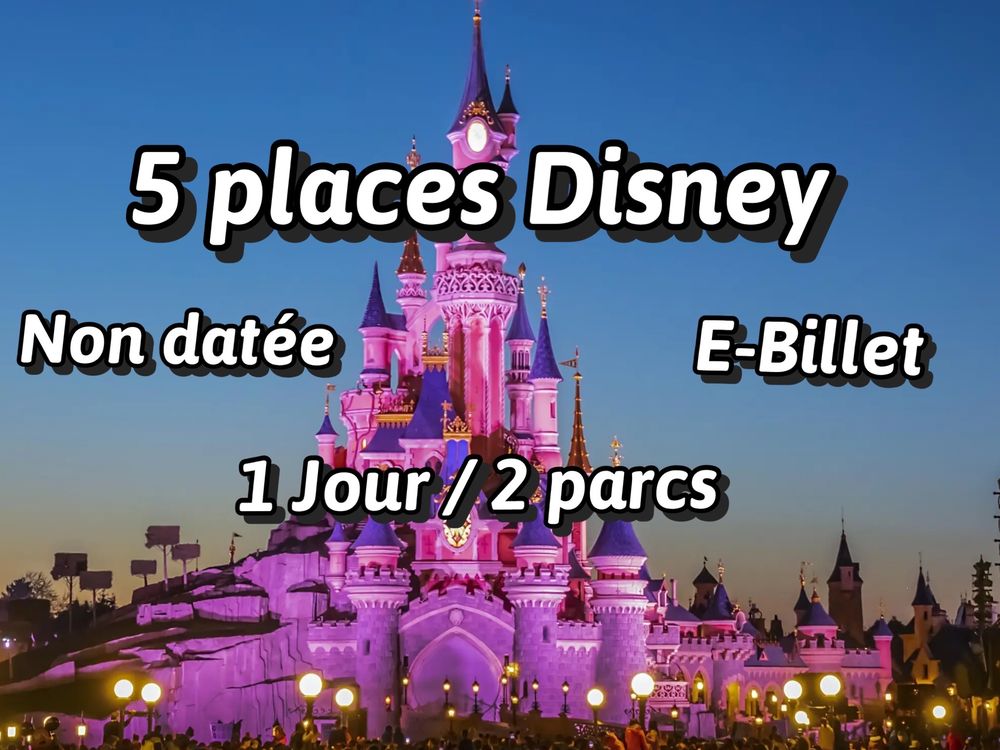 5 places Disney 1jour/2parcs Billetterie