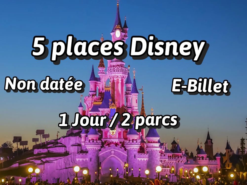 5 places Disney 1jour/2parcs Billetterie