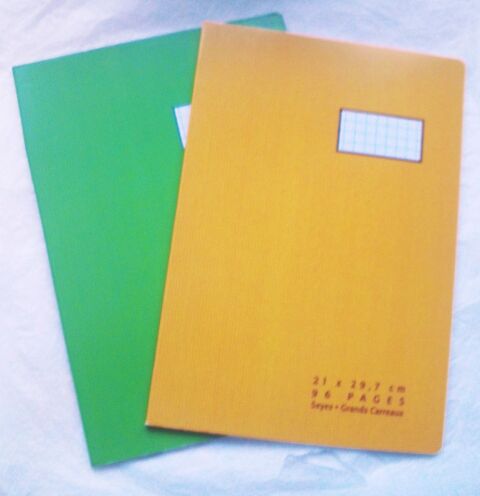 Lot de 2 cahiers format A4, 96 pages, grands carreaux, 70 g 2 Villeurbanne (69)