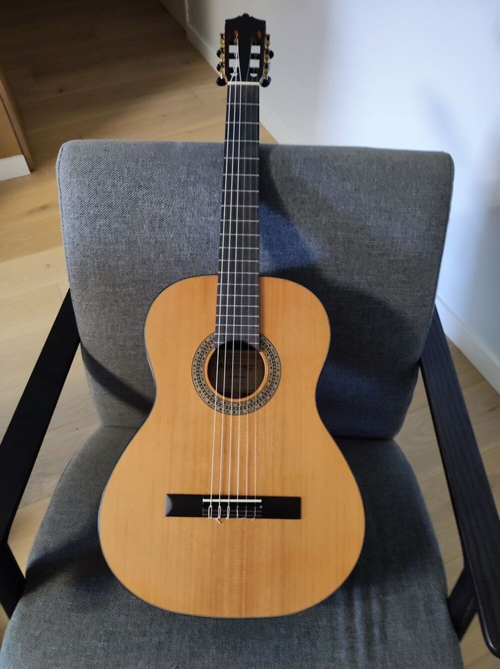 Guitare acoustique Instruments de musique