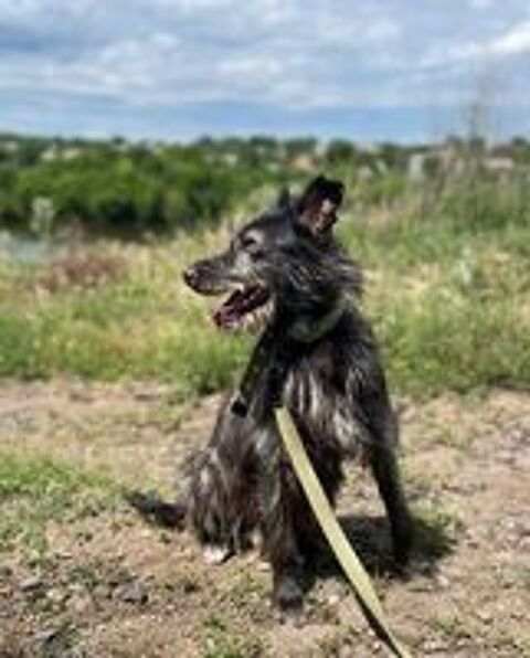   BOUBA SE TROUVE DANS UN REFUGE EN UKRAINE 