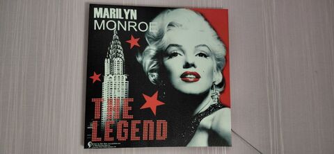 Deco Maryline Monroe 5 Oiry (51)