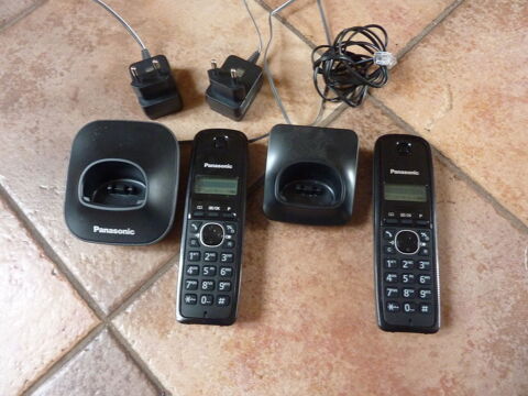 Téléphones PANASONIC DUO Compeyre (12)