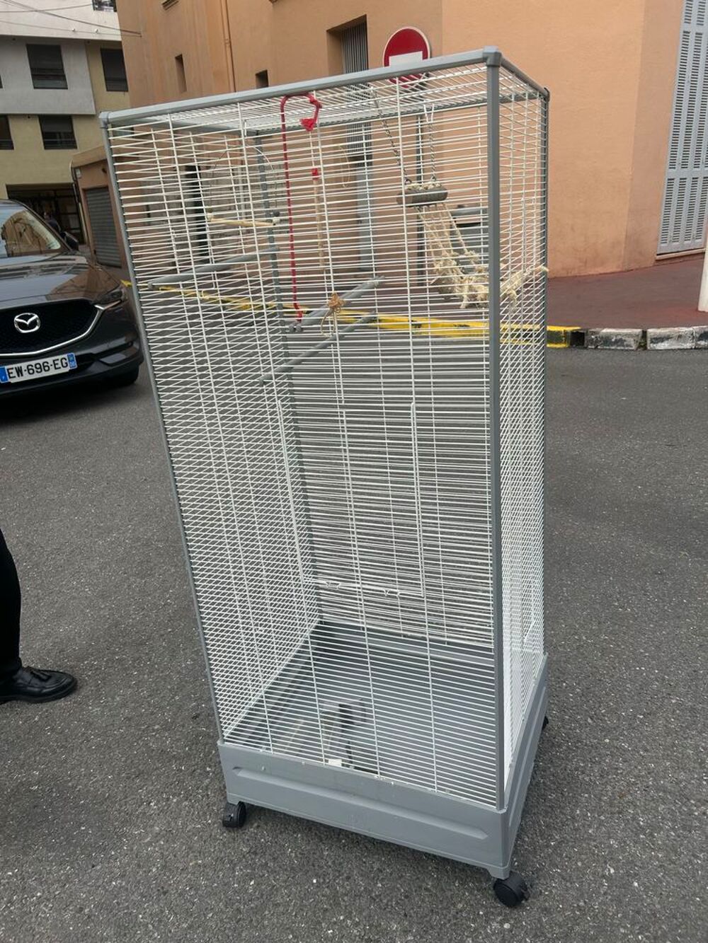 couple de perruche calopsitte +cage Jardin