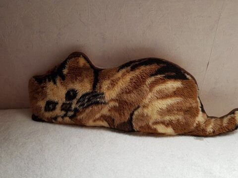 peluche chat 25 Tourcoing (59)