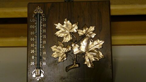 THERMOMETRE DECO 3 Charantonnay (38)