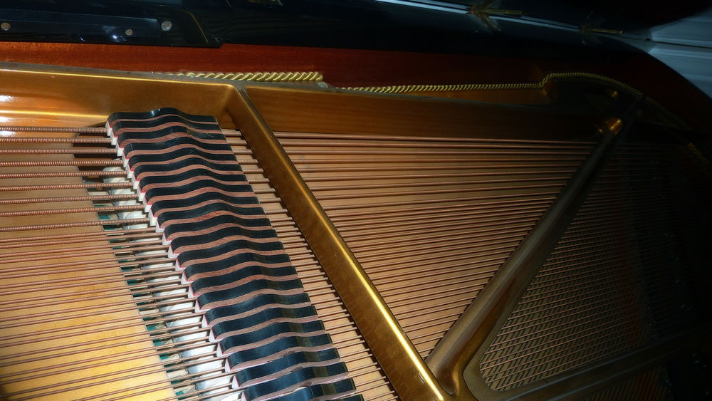 Piano d'exception. Magnifique FEURICH 3/4 de queue de 1985 Instruments de musique