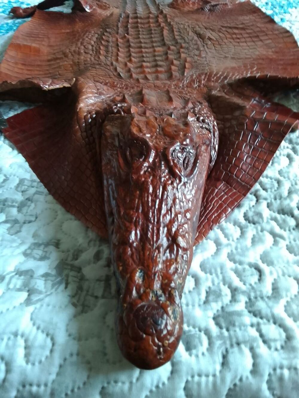 Peau de crocodile unique collector Maroquinerie
