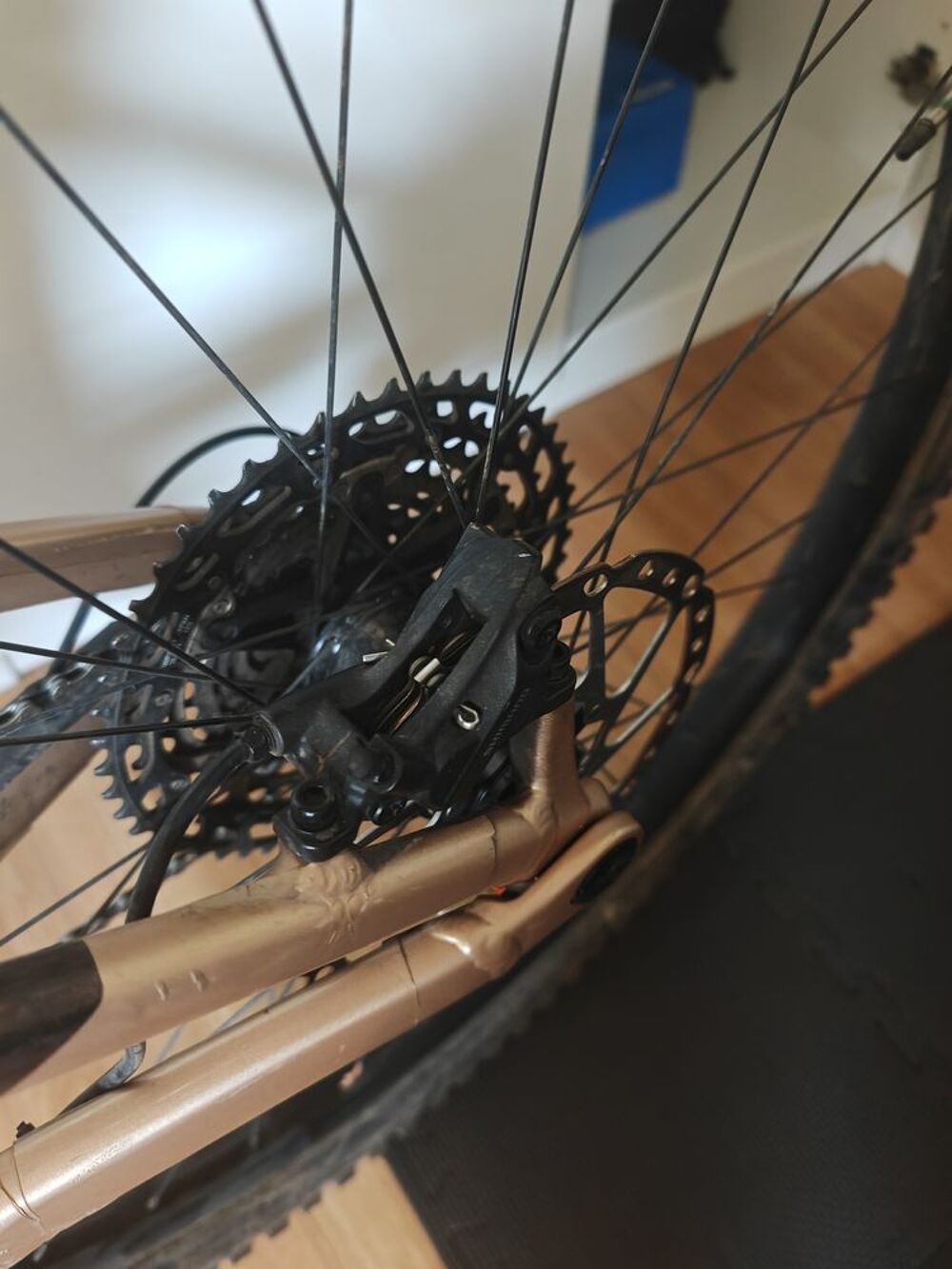 RISE H10 2023 Vélos