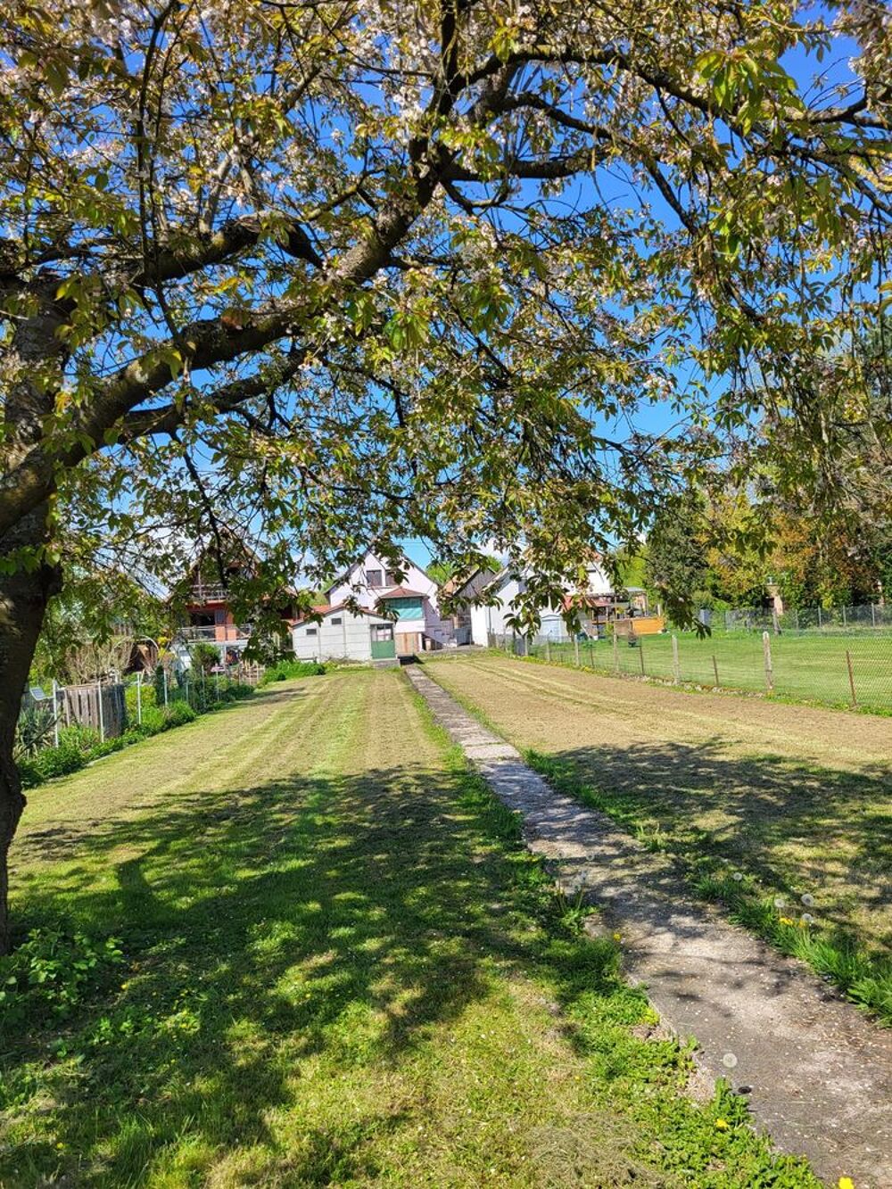 Vente Maison Maison 124 m2 à Hochfelden Hochfelden