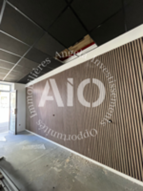  Mur Commerciaux à Vendre Rue du Bourbonnais à Vaise – 33,40 m² Toutes activités possibles 