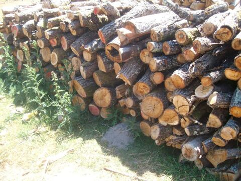 Vd  bois   sec   tète  de  chène  scier  en  1  mètre Moulins (03)