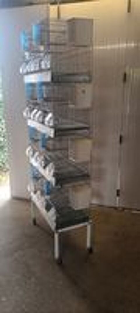   cages oiseaux 