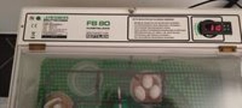   Incubateur Jaeger FB80 pour Reptile. 