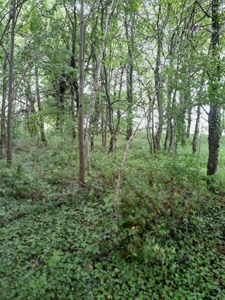  Terrain � vendre 1360 m�