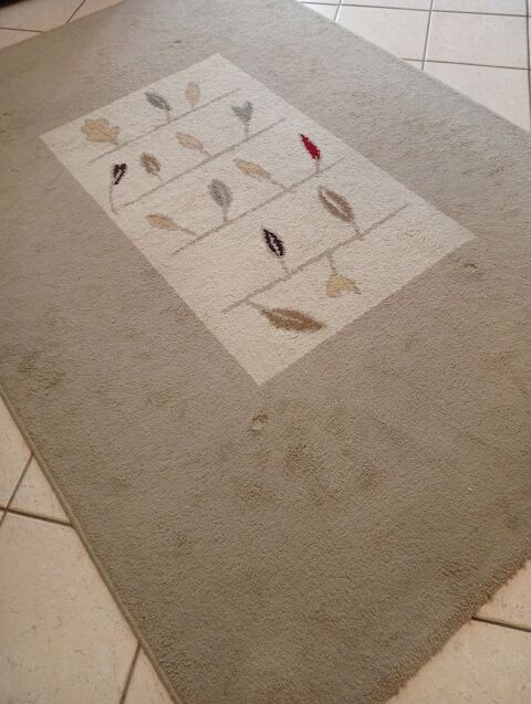 Grand tapis 30 Colombelles (14)
