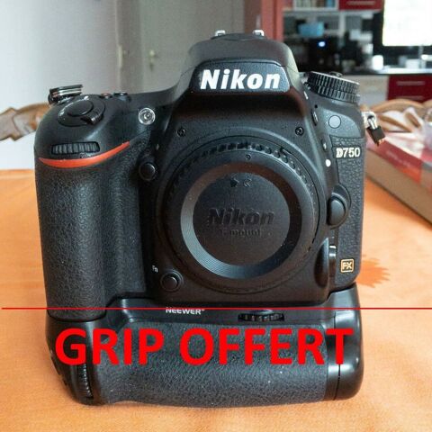 NIKON D750-8678 Clics only-REFLEX SLR-full frame/plein forma 600 Valence (26)