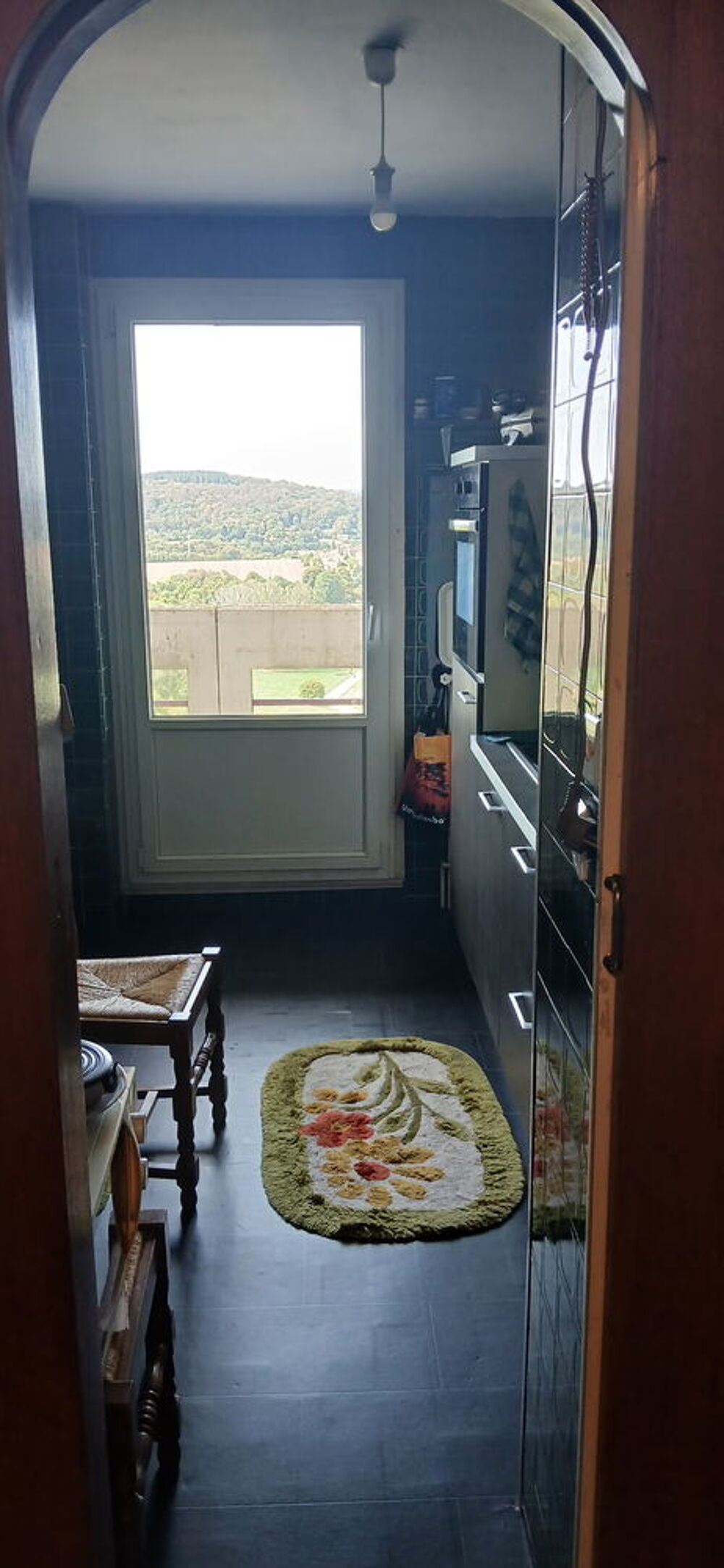 Vente Appartement BELFORT ? Aux portes du Parc de la Douce T2 loué 500 CC Belfort