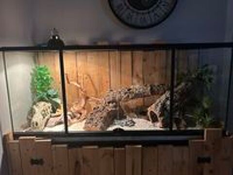   Terrarium complet avec meuble 
