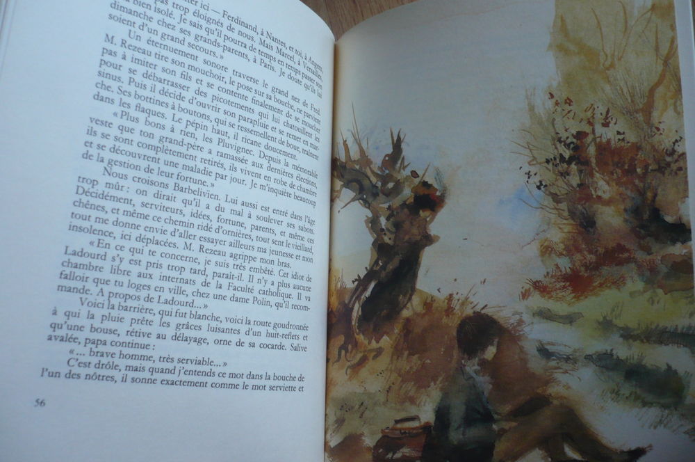 Lot 6 OEUVRES DE HERV&Eacute; BAZIN Livres et BD