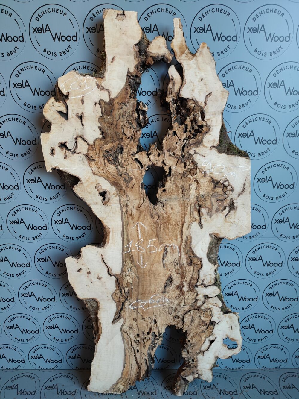 Plateau planche de loupe de charme bois brut Bricolage