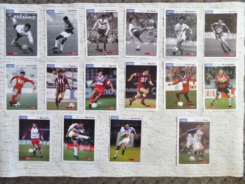 cartes et photos de joueurs de L OLYMPIQUE LYONNAIS 15 Lyon 8 (69)