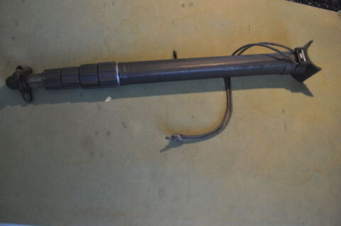 cane pirch pour la chasse tlescopique 35 Saint-Germain (10)