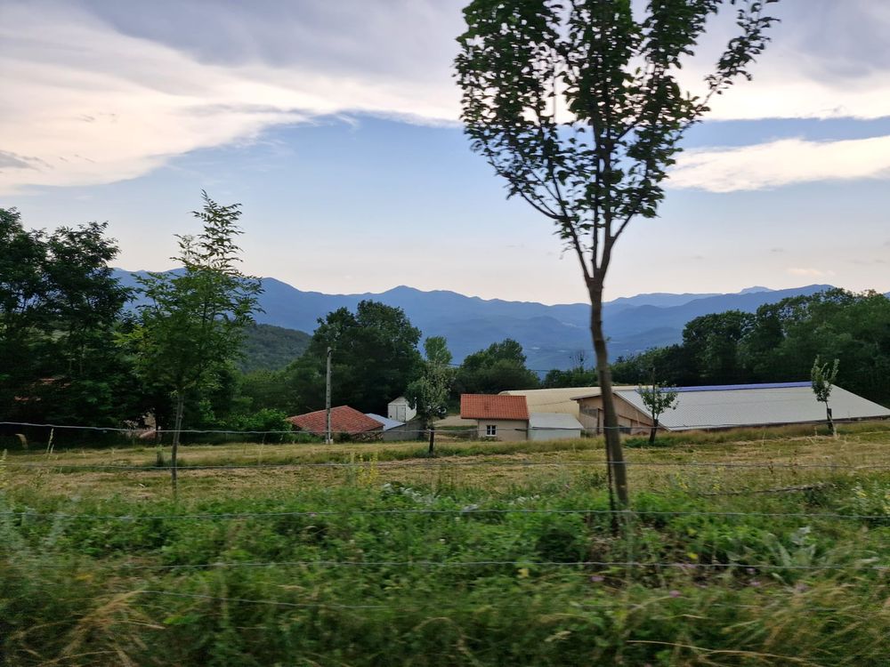 Vente Propriété/Château Domaine  avec dépendances gite exceptionnel de 54 ha . Montferrer