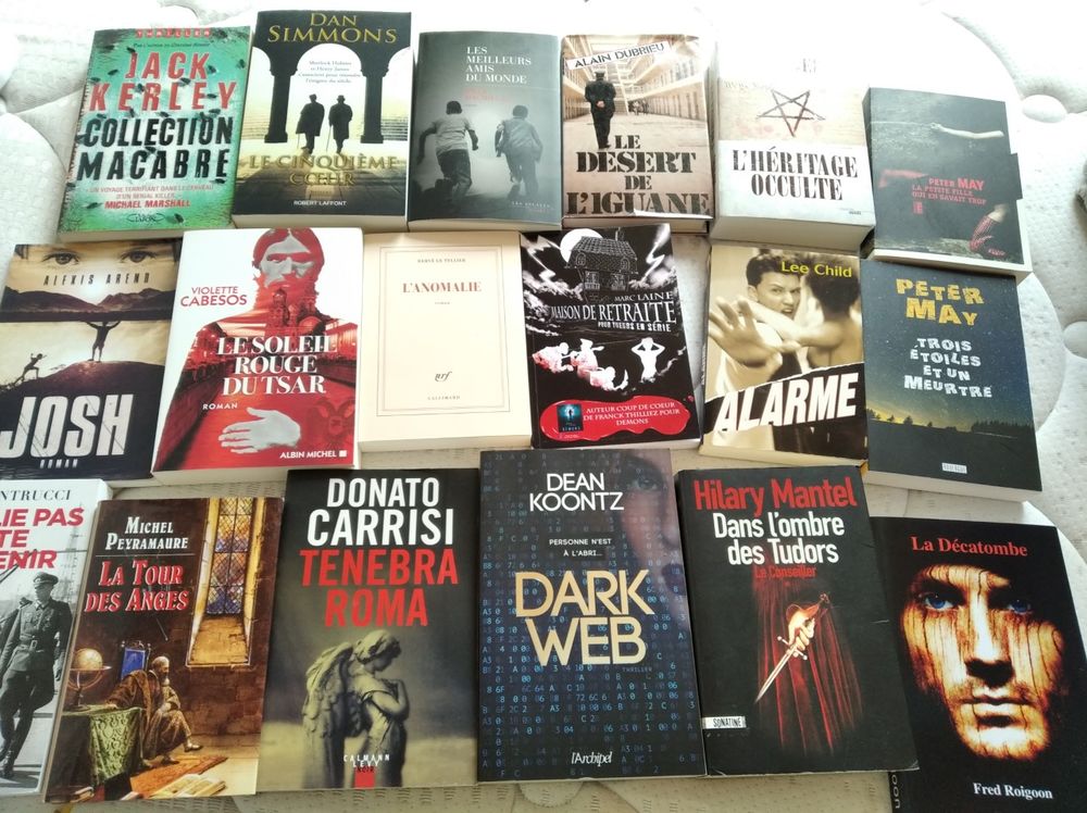 Lot 79 polars, thrillers, polars historiques grand format Livres et BD