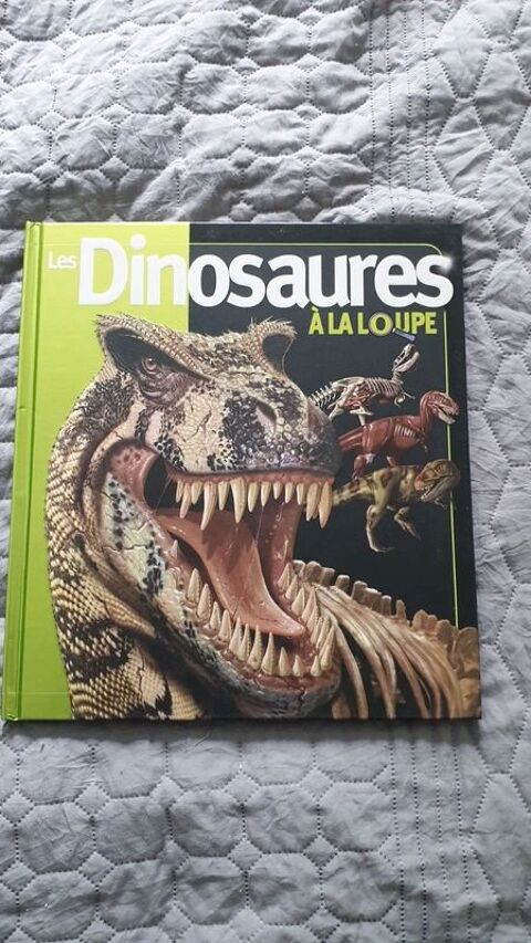 les dinosaures à la loupe
Très bon état
Auteur
Long John
trè 8 Dourdan (91)