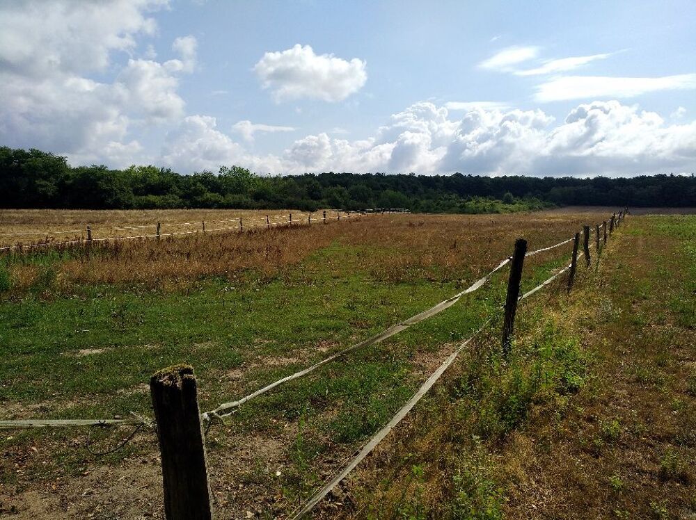 Vente Terrain Terre agricole La guerche-sur-l'aubois