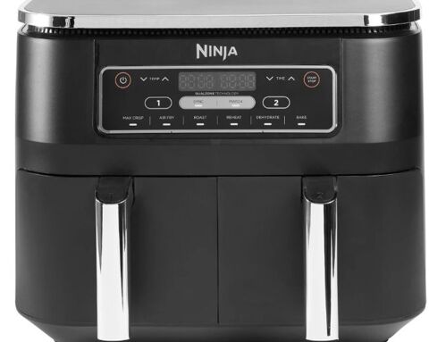 FRITEUSE NINJA 100 Chavanges (10)