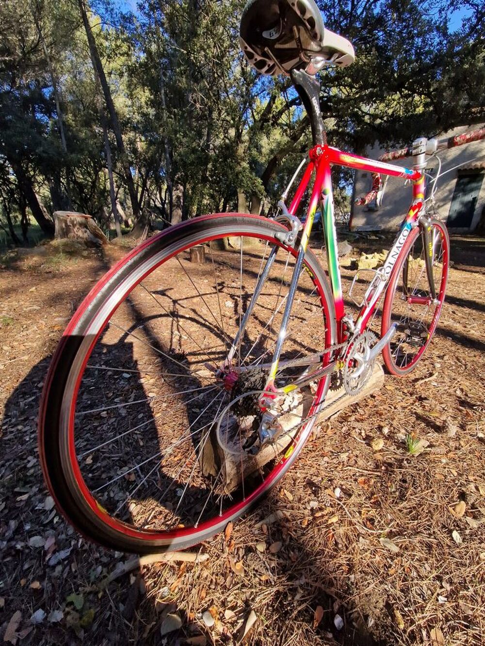 Magnifiques Colnago Master olympique Vélos