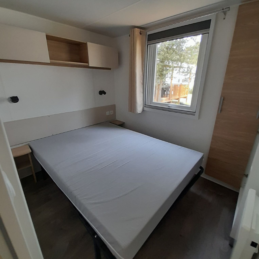 2019 occasion 40170 Saint-Julien-en-Born