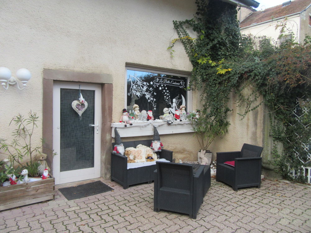 Vente Maison Gîte touristique avec très bon rendement Fénétrange