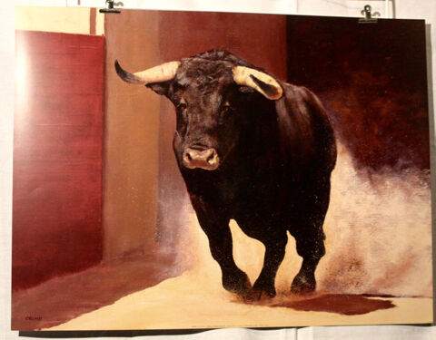     A   G A L O P A R     25 Anglet (64)