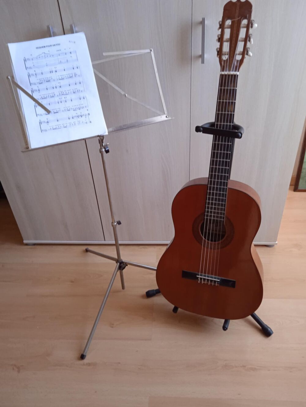 Guitare acoustique avec support, pupitre, housse, accordeur, Instruments de musique