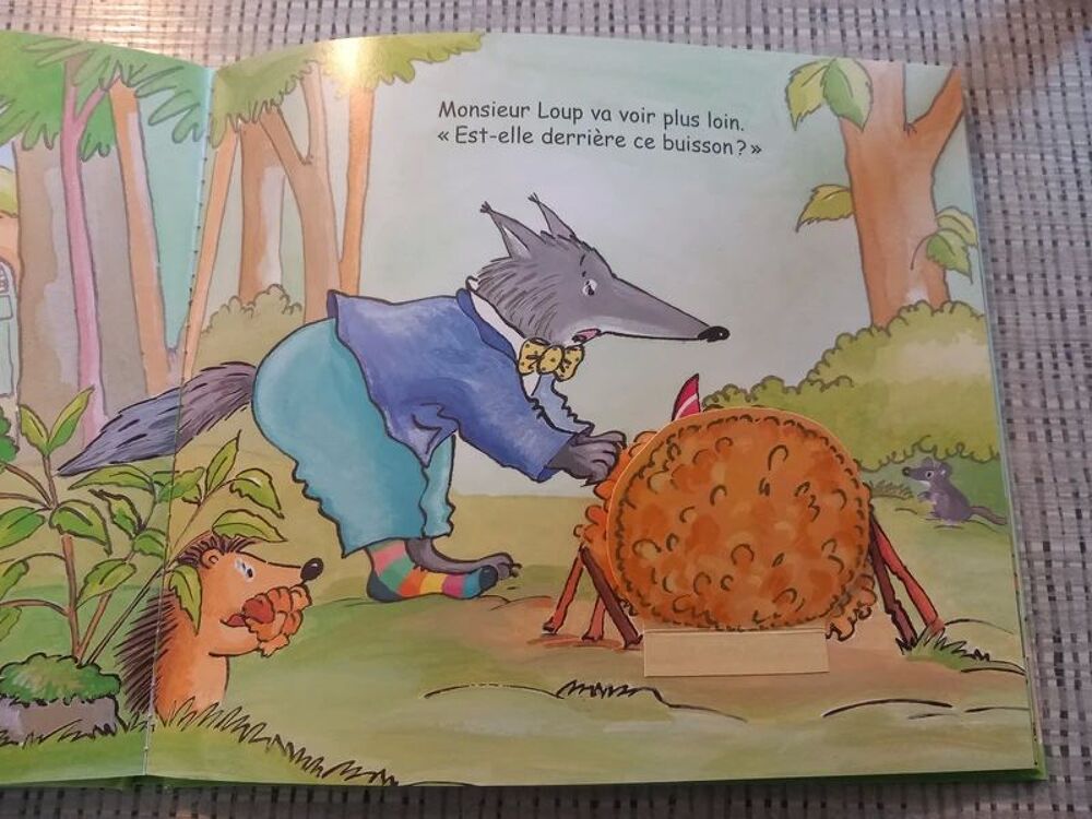 La chaussette de Monsieur Loup Livres et BD